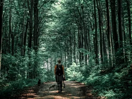 Uprooting The Tree Of Karma