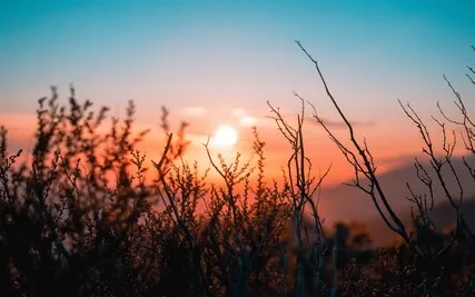 Ups, Downs, And All Arounds