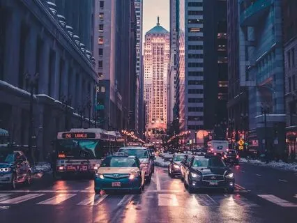 Urban Jungle Meditation