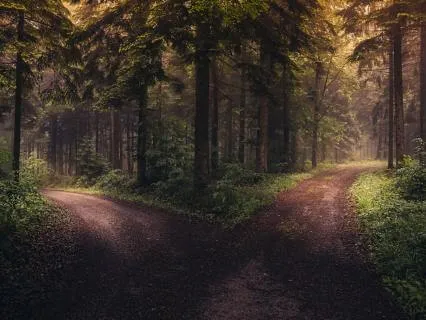 Urge Reset: From Autopilot To Awareness
