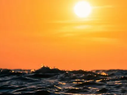 Urge Surfing To Work With Cravings