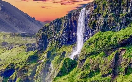 Urgency Of Living Comes From The Direct Perception Of Danger