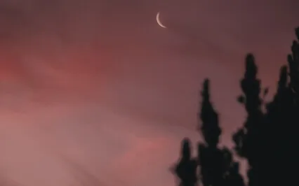 [Urgent Dream Waves] Binaural Beats Sleeping Sounds