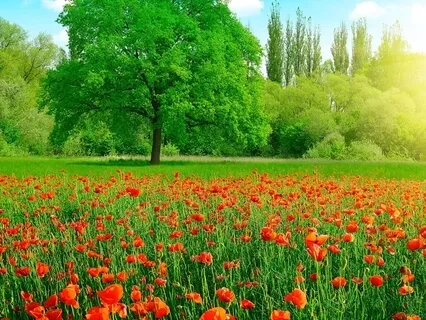 Урок Третий: Учимся Слушать и Слышать Своё Тело