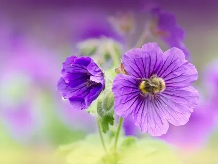 Use Honesty To Change Your Life: Awaken To Your Potential