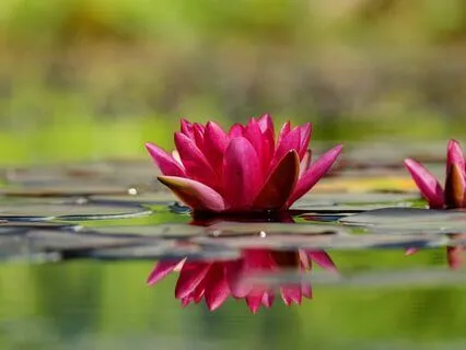 Use One Question To Release Your Self-Limiting Beliefs