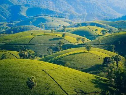 Use These 3, 6, 9 Key Frequencies To Boost Manifestation