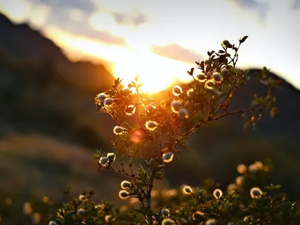 Use This Simple Meditation To Attract Your Desires