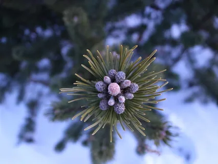 Use Your Body To Concentrate