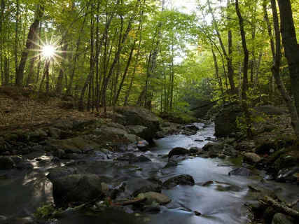 Using A Mantra (Meaningless Syllable/Sound)