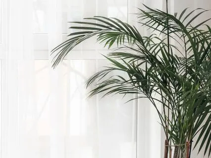 Using Affirmations To Cultivate Openness