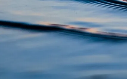 Using Breath Awareness To Calm The Mind - 20 Minute Daily Insight