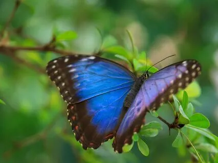 Using Compassion And Love To Heal Our Bodies