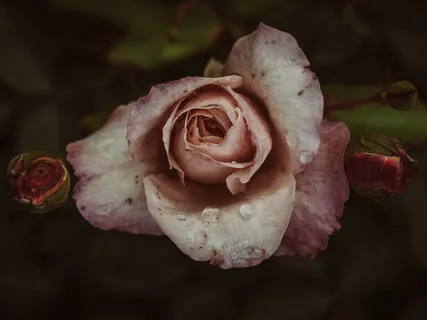 Using EFT Tapping To Embody The Me I Want To Be