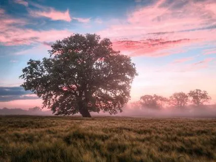 Using Gratitude Breathing To Calm A Nervous Mind