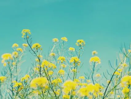 Using Labels To Enhance Mindfulness