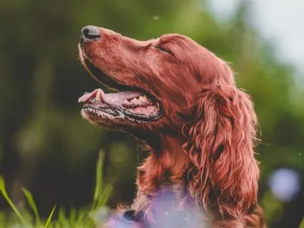 Using Mindfulness To Reduce Pain