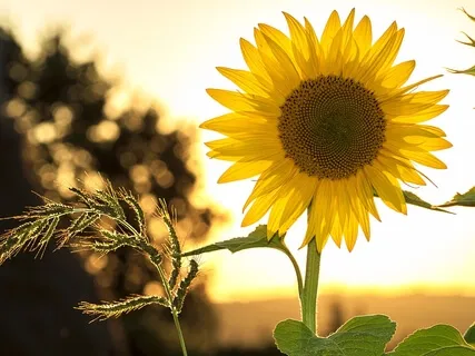 Using Positivity To Deal With Situations Causing Uneasiness