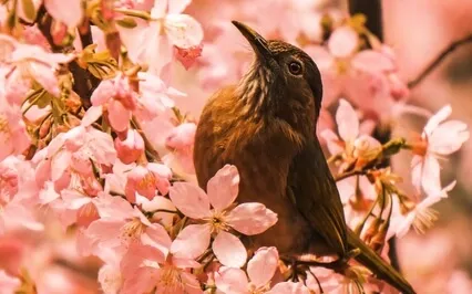 Using Technology To Free Your Mind