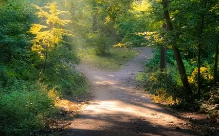 Using The Breath To Anchor Us In The Nowness Of This Moment