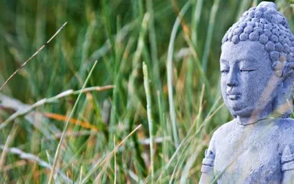 Using The Power Of Nature To Connect To Our Inner Peace