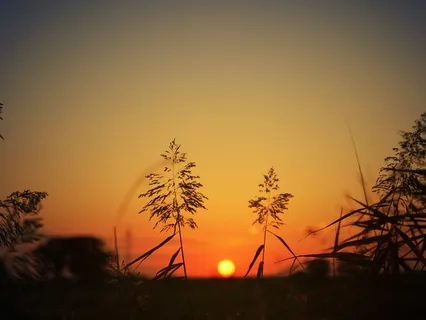 Using What You Get From