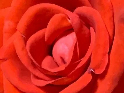 Using What You Get From Meditation