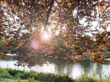 Успокоение Сердца