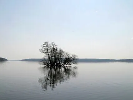 Utforska Kroppens Vägledning Av Lugn Och Anspänning