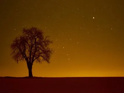 Utilizing Breath As An Anchor To The Present Moment