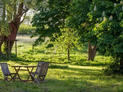 Utilizing The Imagination For Clarity