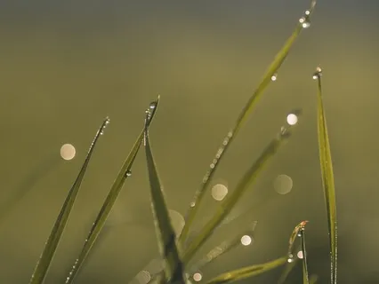 Утренняя Медитация