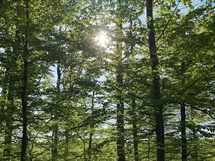 Утренняя Медитация 3