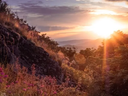 Утренняя Медитация