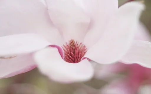 Утренняя Медитация-Настройка для Самого Счастливого Дня