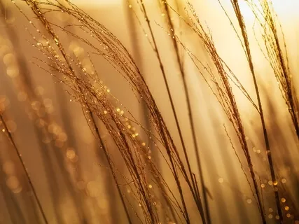 Утренняя Медитация: Поток Любви И Хороший День 