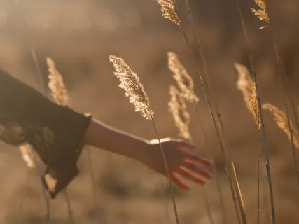 Утренняя медитация. Уверенность и позитивная энергия