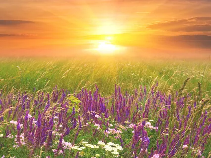 Утренняя Медитация