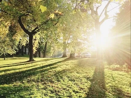 Утренняя Практика По Наполнению Энергией