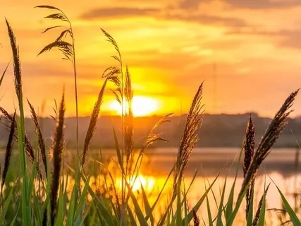 Утренняя Практика Пробуждения и Начала Счастливого Дня