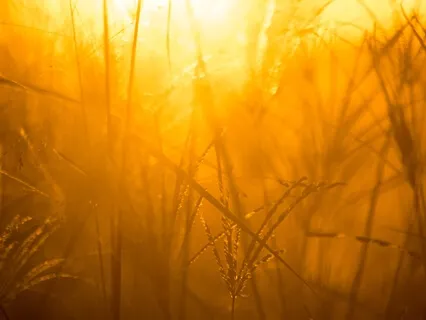 Утренние Аффирмации Осознанности и Принятия Момента