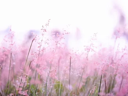 Утро. Энергетическая практика