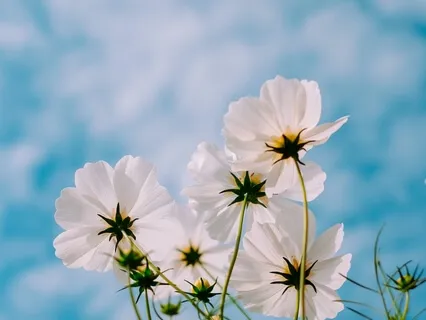 Утро. Настройка на Предстоящий День 