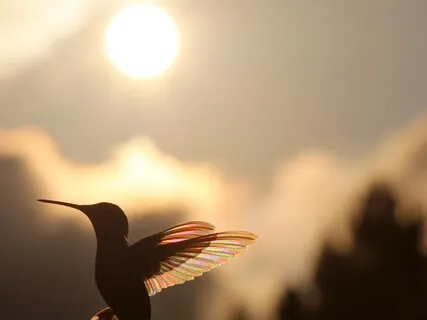 Yверенность B Cебе