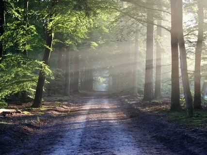 The Power To Notice, Release & Accept (Version 2)