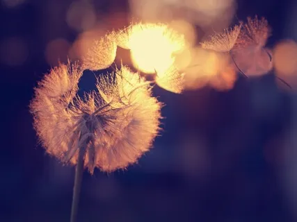 Vacuum Breathing Explained