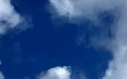 Våga vila