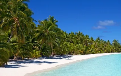 Vagues au bord du lagon-Ressac-Méditation-Relaxation-Sieste