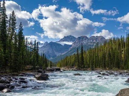 Vagus Nerve Activation Part Three