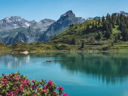 Vagus Nerve Activation Part Two